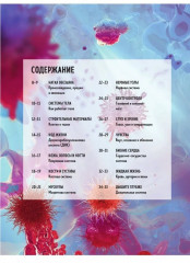 Тело человека. Как устроен наш организм - Фото 2