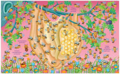 Животные. Найди и покажи - Фото 1