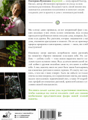 Растущие в темноте. Комнатные растения для укромных уголков вашего дома - Фото 1