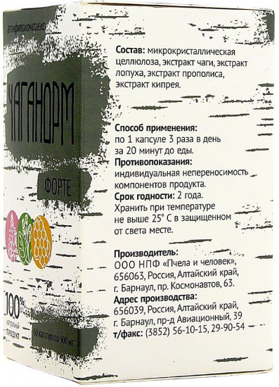 Таблетки «Чаганорм Форте»