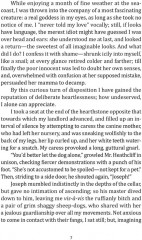 Wuthering Heights - Фото 5