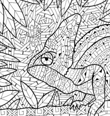 Тропические сады. Раскраска-антистресс - Фото 1