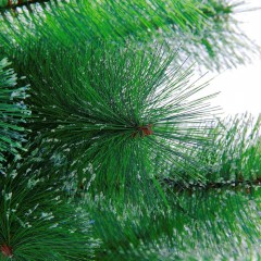 Кедр «Северное сияние», 150 см (152 ветки) - Фото 2