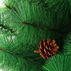 Кедр зелёный с шишками, 90 см (57 веток, пластиковая подставка) - Фото 2
