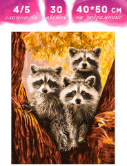 Картина по номерам «Семейство енотов» - Фото 1