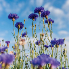 Средство для снятия макияжа с глаз - Фото 3