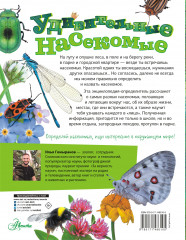 Удивительные насекомые - Фото 1