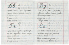 Прописи для дошкольников. Для будущих первоклассников - Фото 1