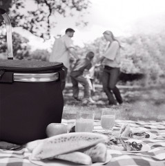 Корзина-холодильник для пикника - Фото 3