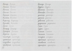 Пишем сложные слова. Каллиграфические прописи - Фото 1