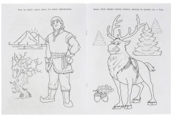 Холодная страна . Чудо-раскраска - Фото 2