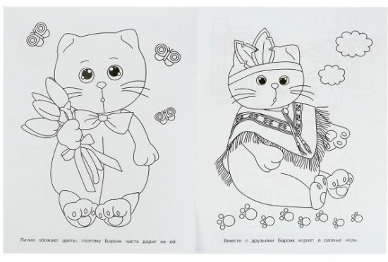 Барсик и его друзья. Чудо-раскраска