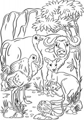 Доска для выжигания и росписи «Австралия» - Фото 4