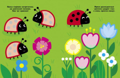 Божьи коровки - Фото 3
