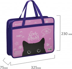 Папка с ручками «Black cat» - Фото 5