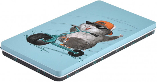 Пенал школьный