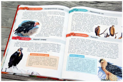 Красная книга мира - Фото 4