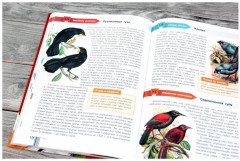 Красная книга мира - Фото 5