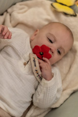 Прорезыватель для зубов «Pop the Poppy» - Фото 1