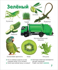 Цвета и формы. Твоя первая фотокнига - Фото 4