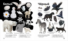 Цвета и формы. Твоя первая фотокнига - Фото 5