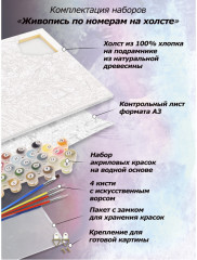 Картина по номерам «Космический праздник» - Фото 1