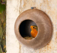 Кормушка для диких птиц - Фото 1