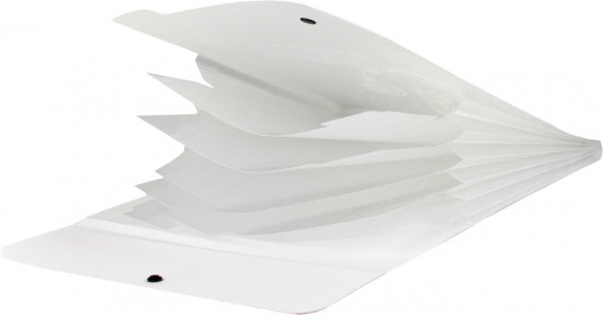 Папка для тетрадей школьных «Манга»