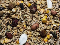 Корм для хомяков «High Quality» - Фото 1