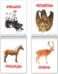 Карточки Домана для раннего развития - Фото 1