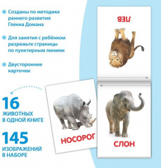 Карточки Домана для раннего развития - Фото 3