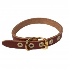 Ошейник однослойный (ширина 1,2 см), цвета в ассортименте - Фото 4