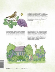 Птицы в деревне. Где найти и как узнать - Фото 1