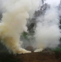 Дымокур серный - Фото 5