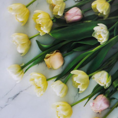 Фотофон двусторонний «Тюльпаны и розы» - Фото 4