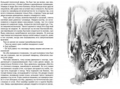 Пещерный лев - Фото 5