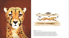 Животные Юга - Фото 3