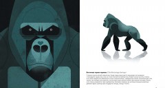 Животные Юга - Фото 2