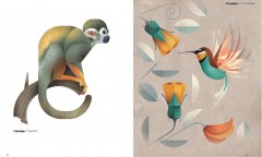 Животные Юга - Фото 1