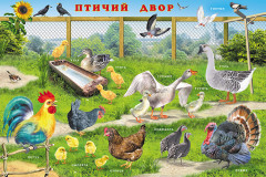 Домашние животные - Фото 1