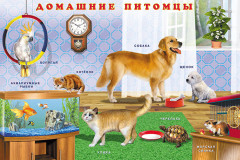 Домашние животные - Фото 2