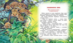 Сказки и рассказы о животных - Фото 2