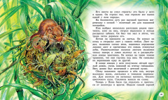 Сказки и рассказы о животных - Фото 5