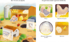 Домашние животные - Фото 1