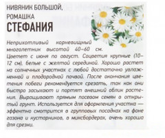 Семена. Нивяник (Ромашка) «Стефания», 0,2 г - Фото 1