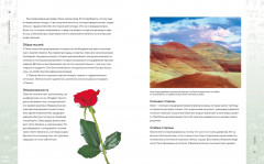 Библия астрологии. Как гармонизировать отношения с окружающими, построить успешную карьеру и улучшить здоровье - Фото 6