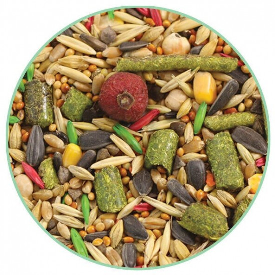 Корм для шиншилл и дегу