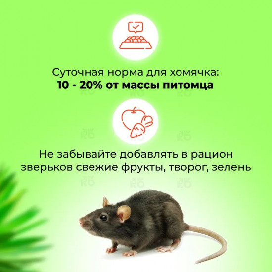 Корм для декоративных крыс