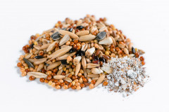 Корм для волнистых попугаев с минералами - Фото 1