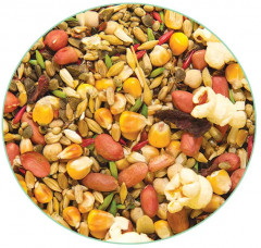 Корм для крупных попугаев - Фото 1